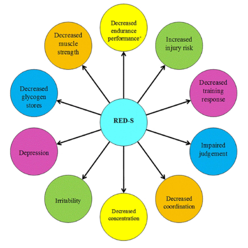 graphic detailing the areas affected by RED-S