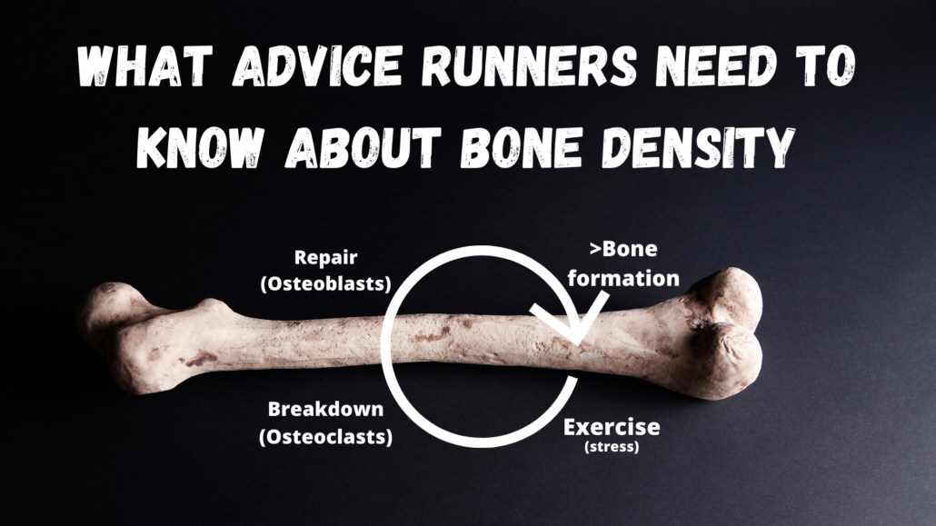 Long skeletal bone demonstrating the bone density cycle and blog title