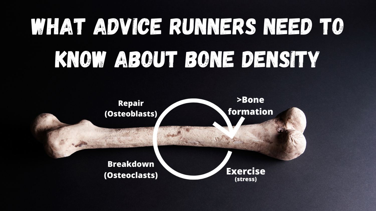 what-advice-runners-need-to-know-about-bone-density-the-run-smarter