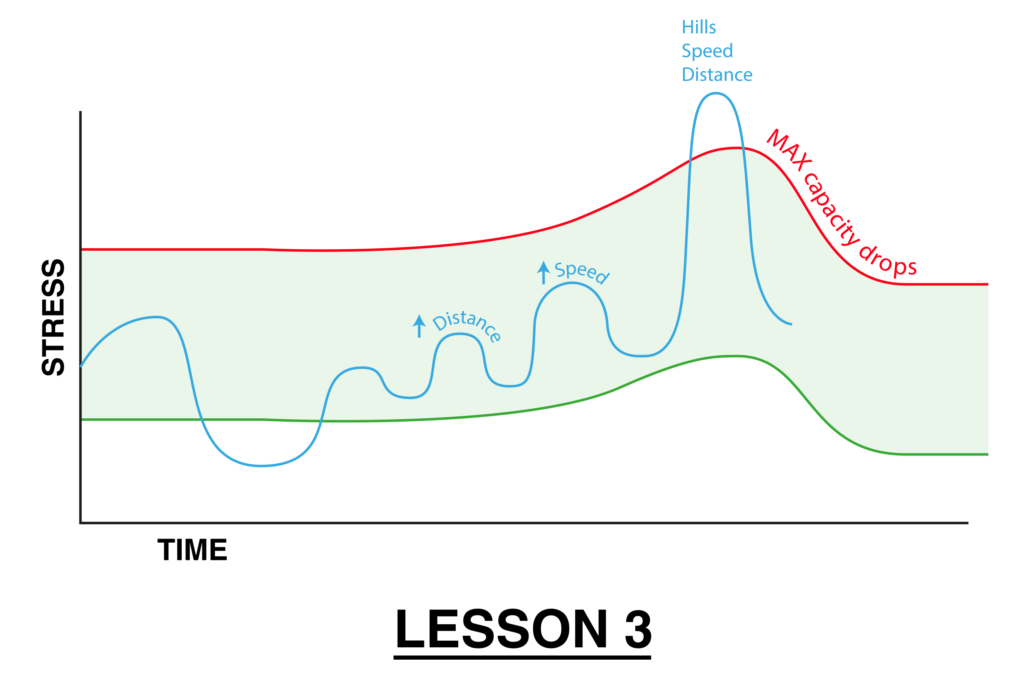 illustration showing tendon pain with training load